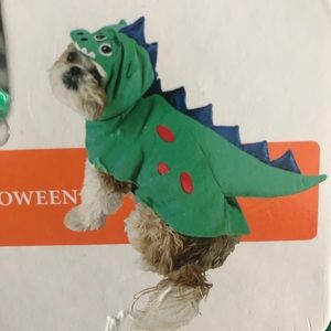 Dog dragon costume